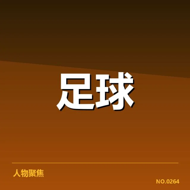 博卡青年球迷的基本数据与组织情况